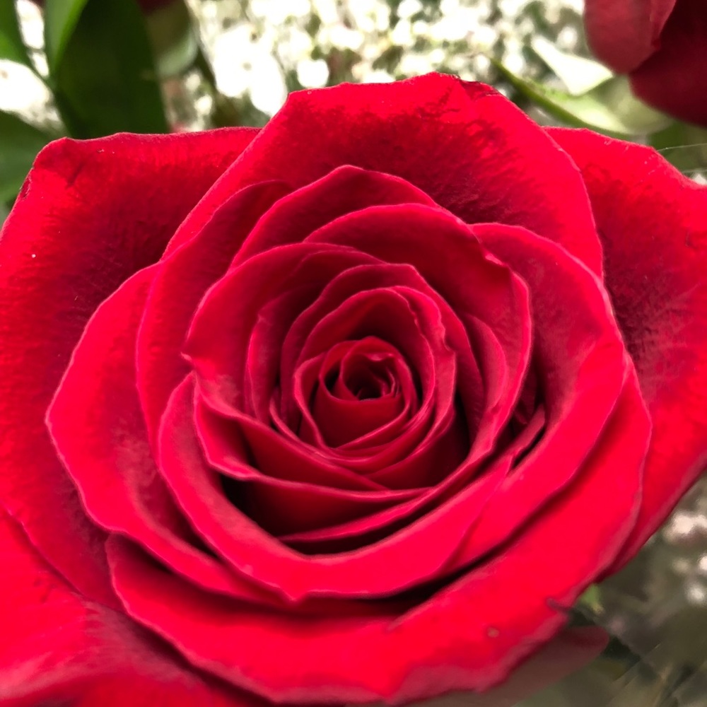 Meet your Posher, Yajaira